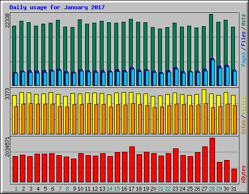Daily usage for January 2017