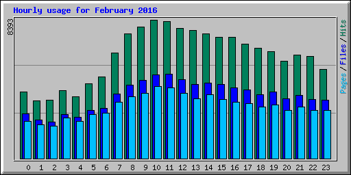 Hourly usage for February 2016