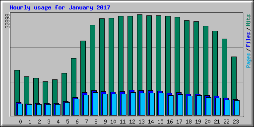 Hourly usage for January 2017